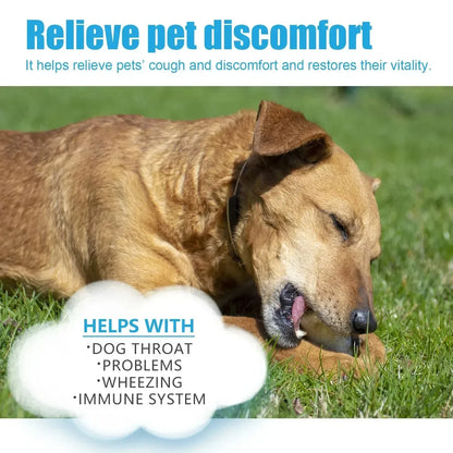 Pet Cough Relief Drops for Dogs, Soothing Throat Support for Sneezing, Natural Respiratory Aid Treat, Helps Immunity Daily Care