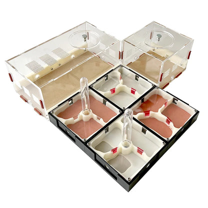 Acrylic Ant Farm Unlimited Expansion Ant Nest with Feeding Area Gypsum Ant House Pet Anthill Workshop Moisturizing Water Tower