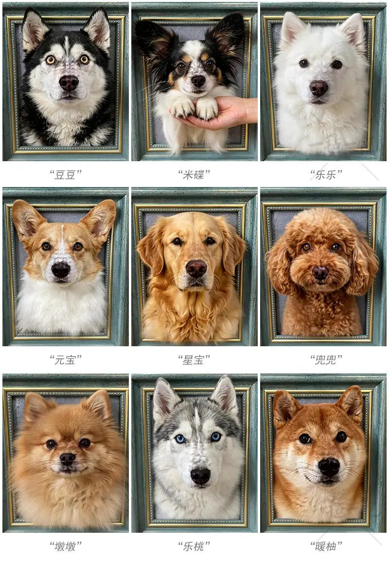 Custom Handmade Wool Felt Pet Portrait Doll Personalized Realistic Cat Dog Simulation Plush Stuffed Animals Birthday Gifts