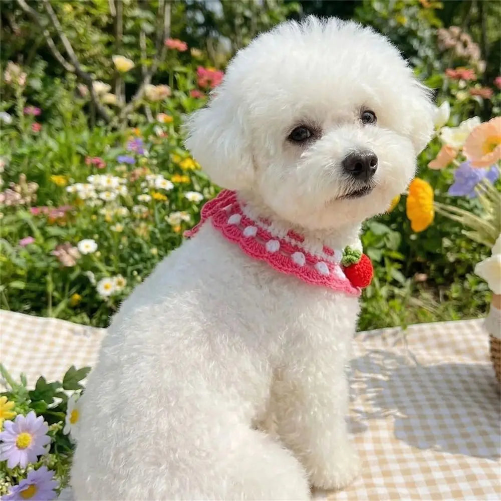 Stylish Adjustable Flower Pet Scarf Bib Sweet Decorative Knitted Cat Scarf Cozy Handmade Cat Woven Bib Spring Collection