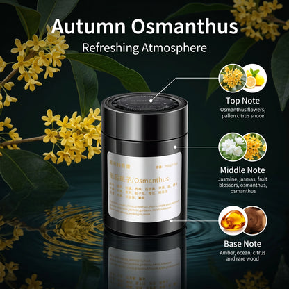 Goblin Style Car Solid Perfume, Premium Aroma Ornament, Car & Home Dual‑Use Fresh Flameless Aromatherapy for Vehicle Interior