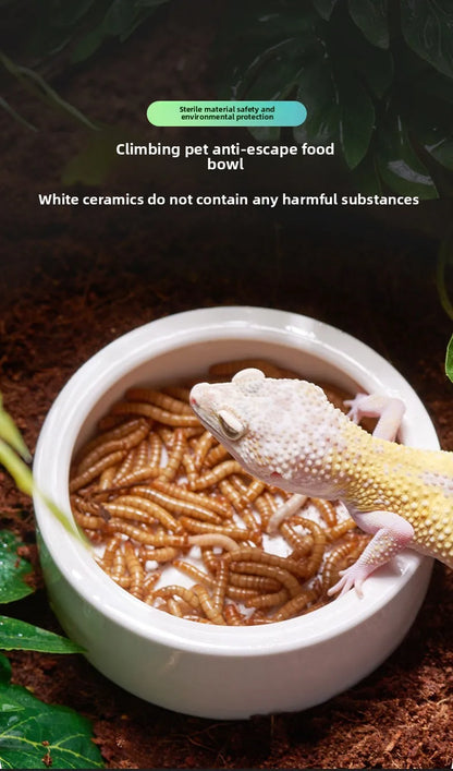 Reptile Water Food Bowl Anti-Escape Ceramic Feeder Dish for Lizard Hermit Gecko Chameleon Corn Snake Bearded Dragon Accessories