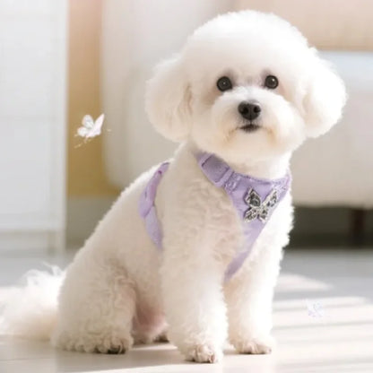 Butterfly Decor & Matching Leash Dog Harness for Small Dogs - Escape Proof Lightweight Vest