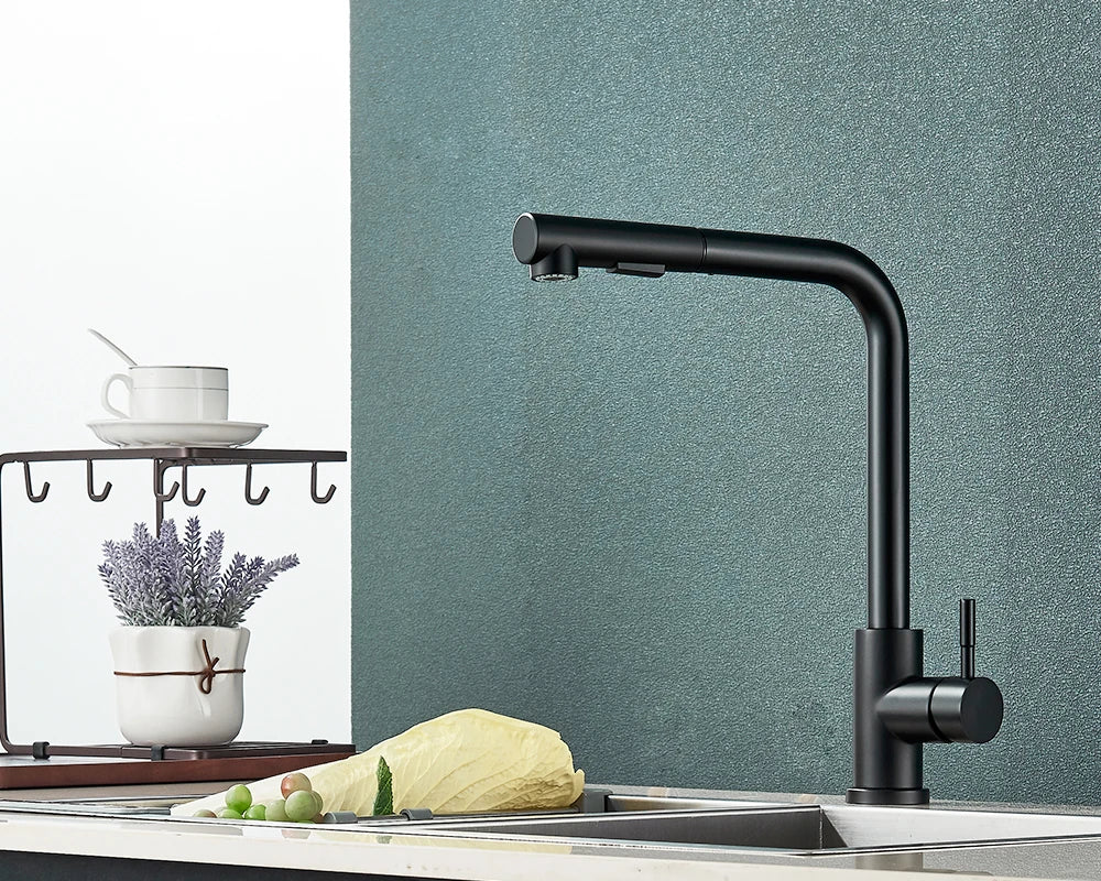 Rozin Flexible Gourmet Kitchen Faucet Black Pull Out 2 Ways Nozzle Faucets 360° Rotation Hot Cold Water Sink Mixer Tap SUS304