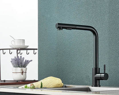Rozin Flexible Gourmet Kitchen Faucet Black Pull Out 2 Ways Nozzle Faucets 360° Rotation Hot Cold Water Sink Mixer Tap SUS304