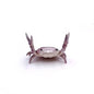Funny Crab Desktop Pen Holder as creative stationery