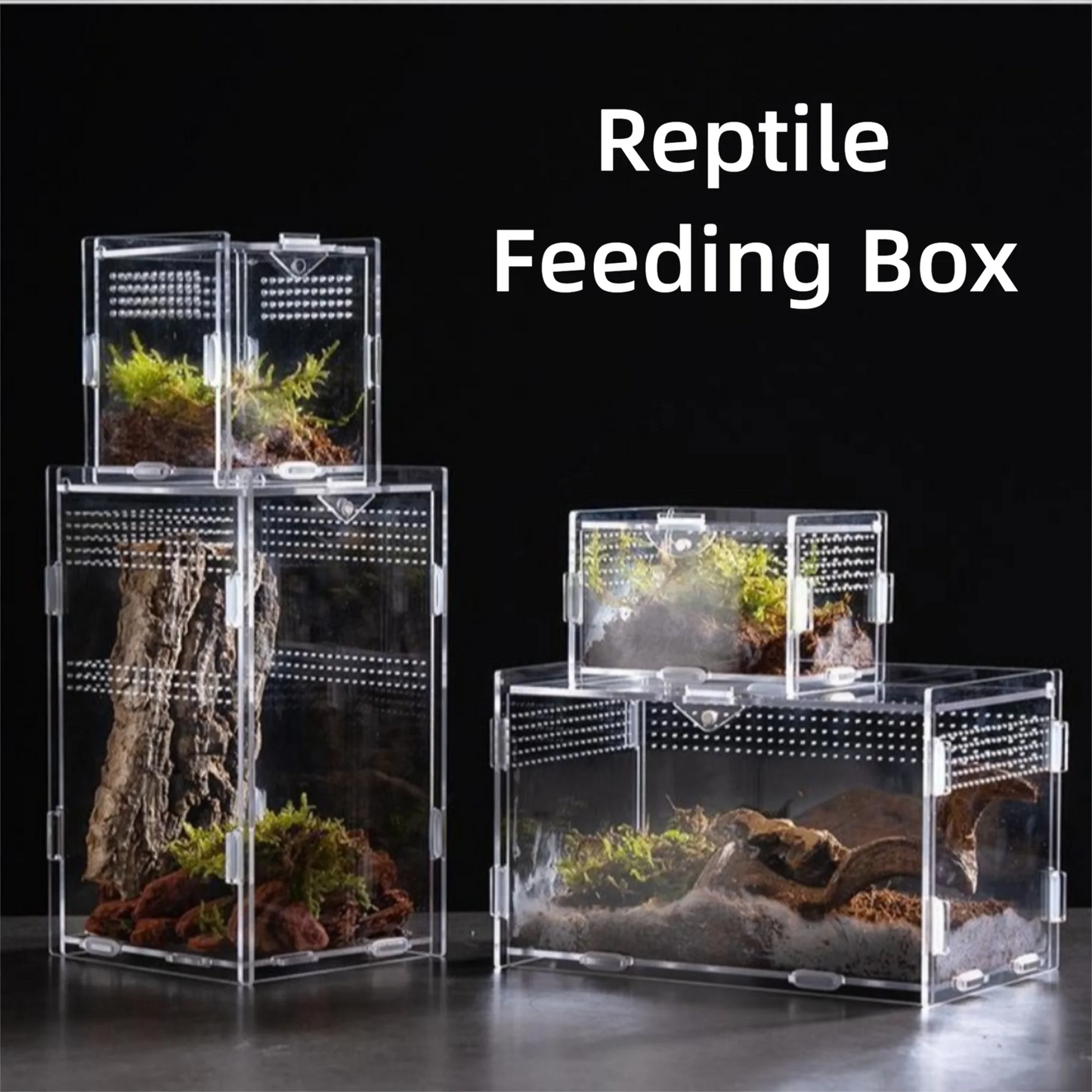 Durable Acrylic Reptile Habitat Anti-Escape Multiple Size Spider Feeding Case Clear Arboreal Lizard Breeding Box for Chameleon