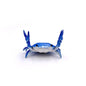 Funny Crab Desktop Pen Holder as creative stationery