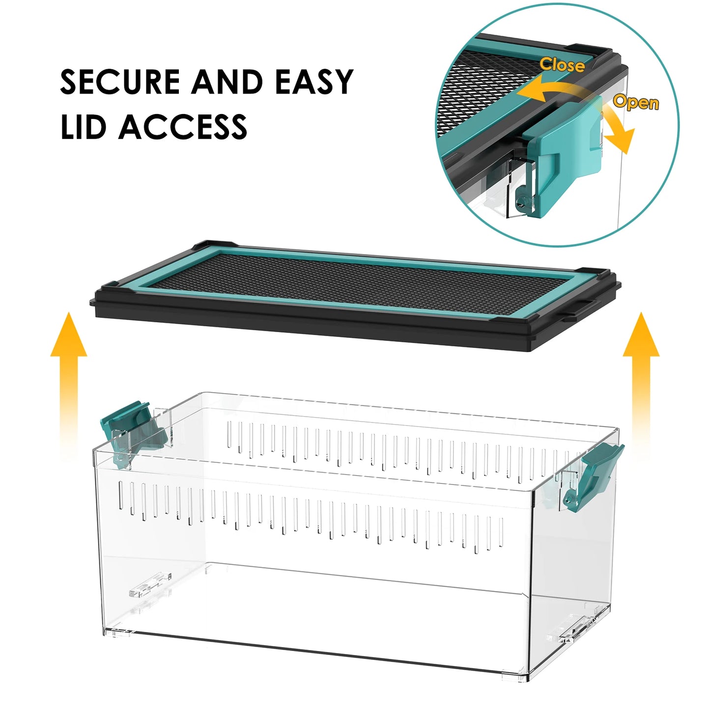 Live Feed Box Set for Bearded Dragons and Chameleons, Suitable for Raising Dubia Roaches and as a Small Reptile Enclosure