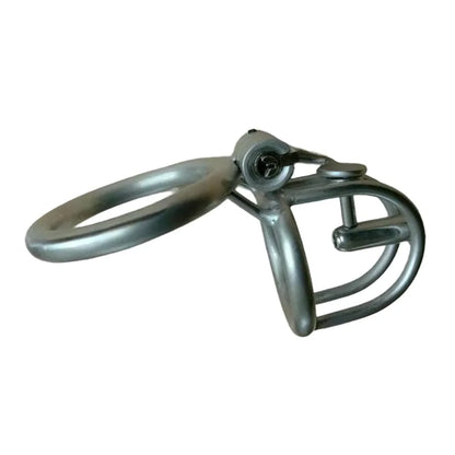 Steel Prince Albert Chastity Cage Male Urethral BDSM Bondage Unique Design Metal Cock Cage Men Cbt Lock Chastity Device