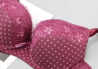 DaiNaFang New Lace Bras 34/75 36/80 38/85 40/90 42/95 44/100 BCDE Underwear For Women Push Up Lingerie