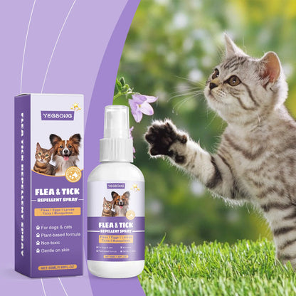 Pet Flea Spray Spray Effectively Removing Fleas Ticks Relieve Skin Itching Natural Ingredients Non Irritating Pet Flea Repellent