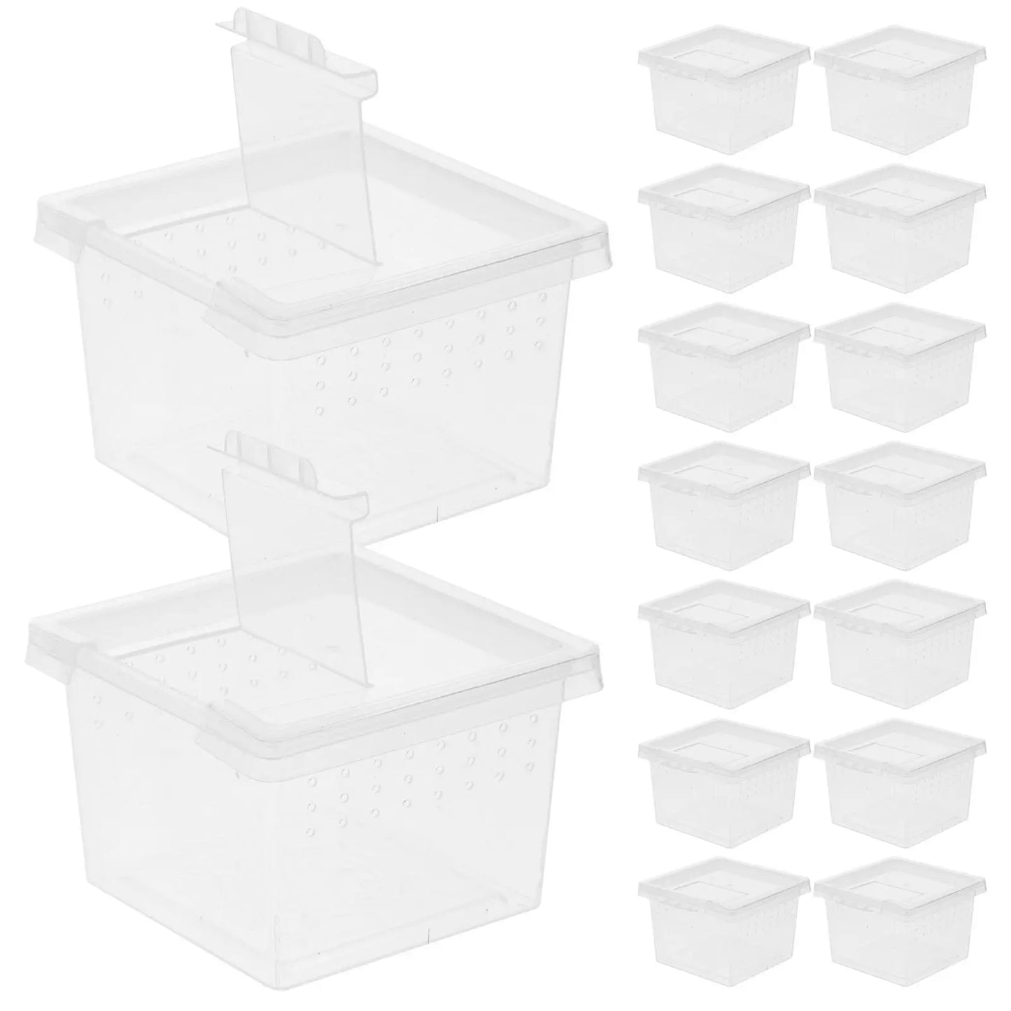 20Pcs Insect Observation Containers Clear Feeding Terrariums Portable Secure Small Habitat Enclosures for Spider Snail Tarantula
