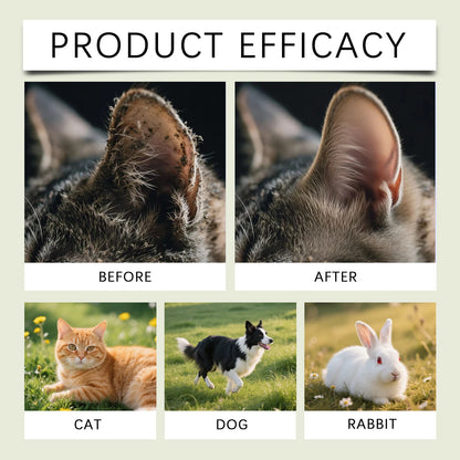 Pet Ear Cleaner Liquid for Dogs Cats Gentle Ear Wash Drops Removes Dirt Earwax buildup Deodorizer for Daily Ear Care Cleaning 50