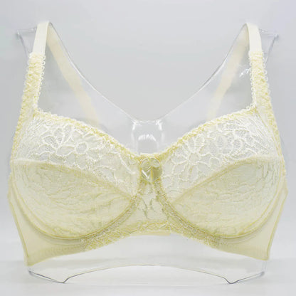 Plus Size Bras For Womens Lace Sexy Bra Perspective Underwire Female Lingerie BH Tops C D DD E F Cup