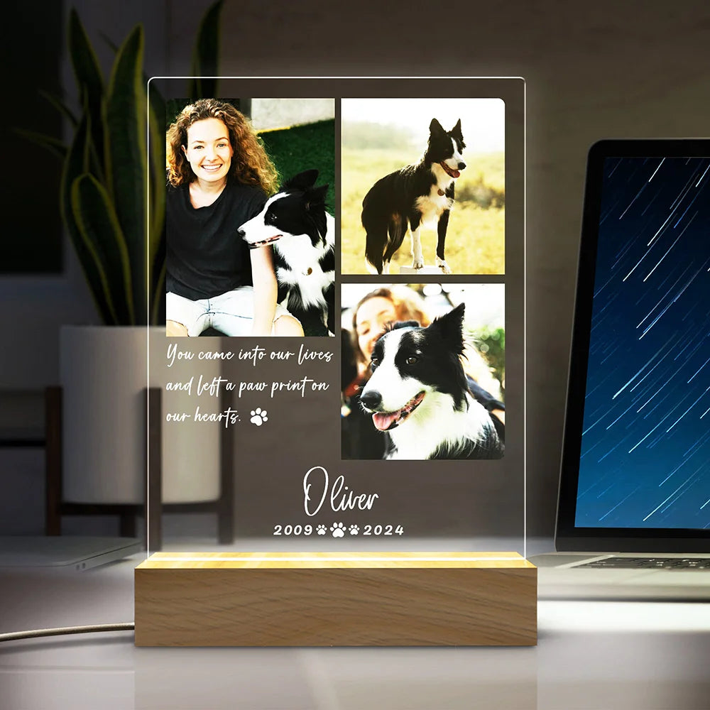 Personalized Photo Night Light Pet Memorial Gift Custom Pet Decor Warm Home Room Ornament Personalized Memorial Gift For Lovers
