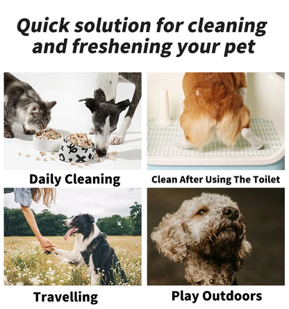 80PCS/pack Pet Wipes Disposable Pure Water Formula Pet Care Dog and Cat Health Cleaning Deodorizing Wipes Single-use