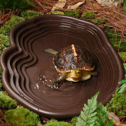 Reptile Bathing Dish Amphibians Habitat Reptile Tortoise Feeder  Water Food Bowl Feeding Dish for Bearded Dragons Turtle