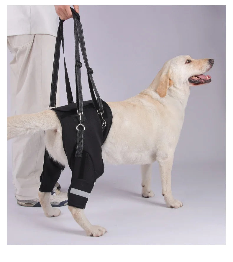 Dog Support Harness Elderly Dogs Adjustable Rehabilitation Mobility Aid Walk Comfortable Orthopedic Back Leg Lift Support Belt