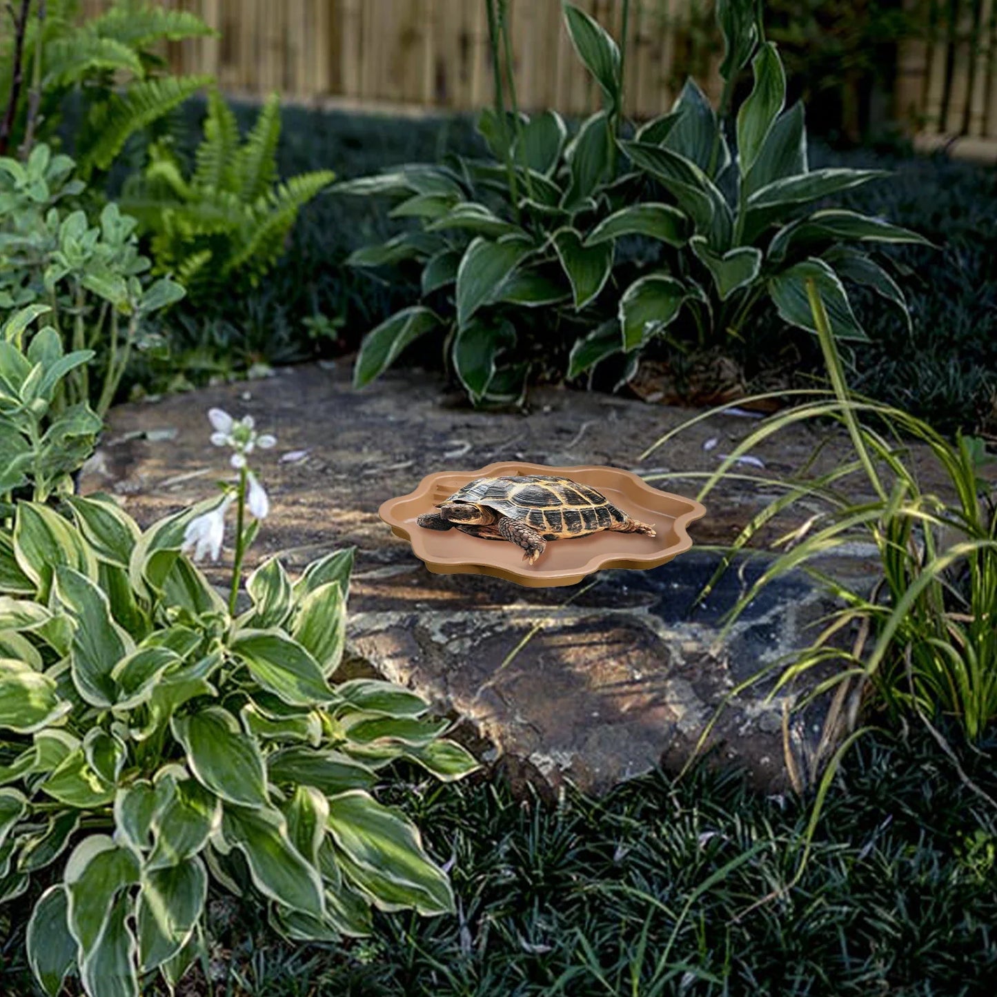 Reptile Bathing Pool Amphibians Accessories Large With Ramp Reptile Water Bowl For Tortoise Turtle Hamster Scorpion Leopard Pet