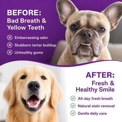 200g Pet Dental Powder Stain Remover Gentle Teeth Whitening, Breath Freshener for Dogs Cats, Tartar Prevention Oral Care Daily