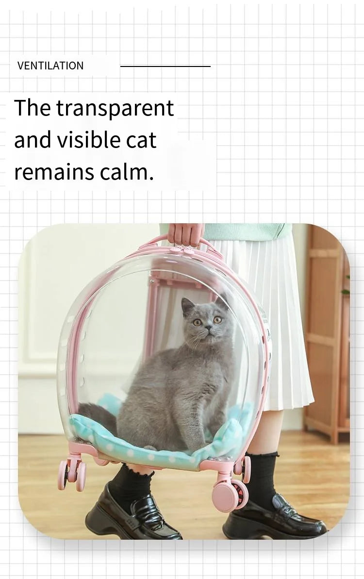2026 Large Capacity Pet Suitcase for Two Cats Dogs Breathable Clear Wheel Portable Carry-on Luggage Pet Travel Bag