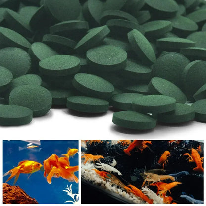 50-300Pcs High Purity Spirulina Tablets Spiral Seaweed Enrichment Favorite Pets Food Fish Crystal Red Shrimp Fish Food Aquarium