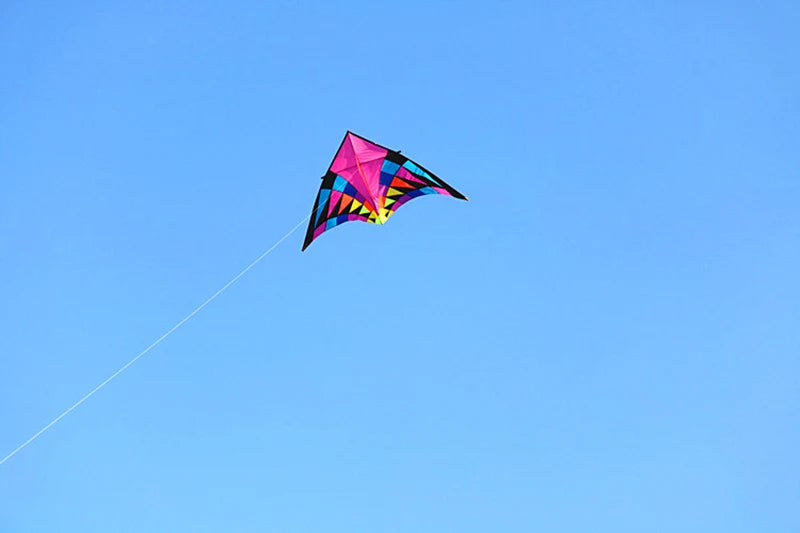 Free shipping large delta kites professional for adults kites flying toys sport kites windsurfing show kites fried flight kites