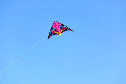 Free shipping large delta kites professional for adults kites flying toys sport kites windsurfing show kites fried flight kites