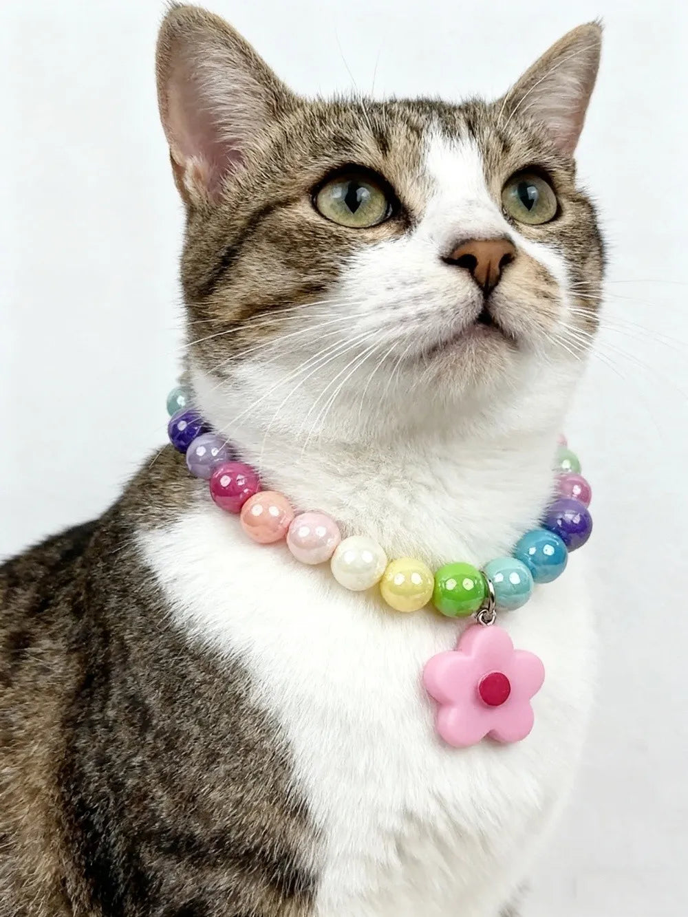 Cute Adjustable Beaded Cat Flower Pendant Candy Color Cat Pet Neck Chain Pet Jewelry Elastic Dog Cat Pet Collar Kitten Puppy