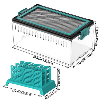 Live Feed Box Set for Bearded Dragons and Chameleons, suitable for raising Dubia roaches and as a small reptile enclosure