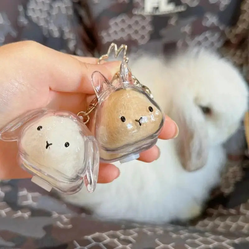 Cartoon Pet Hair Memorial Transparent Storage Box Keyring Cute Animal Rabbit Fur Organizer Keychain Bag Pendant Pet Souvenirs