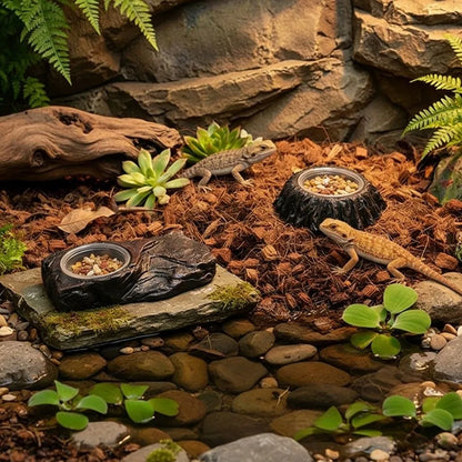 Imitation Stone Resin Rock Feeder Dish Wear Resistant Anti-knock Pet Feeder Ledge with Bowls Wide Mouth Reptile Food Bowl