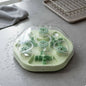 Interactive Feline Brain-Teaser Toy Mental Stimulation Feline Maze Toy Pet Accessory Multi-Function Anti-Choking for Kittens