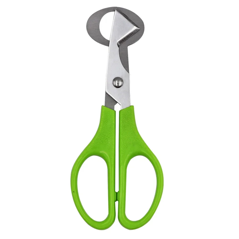 For Cutter Scissors Pigeon Bird Quail Egg Cutter Opener Cracker Kitchen Clipper Tool 10PCS Stainless Steel Quail Egg