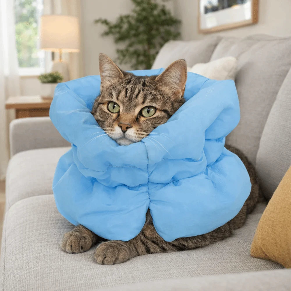 Waterproof Pet Elizabethan Collar Adjustable Anti-Bite Cat Protection Collars Warm Breathable Cat Recovery Cone Pet Wound