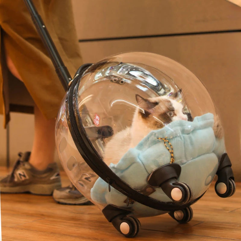 Portable Cat Bag for Going Out Large Capacity Transparent Breathable Pet Trolley Case Cat Travel Bag Pet Supplies Cat nest