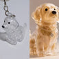 New Clear Puppy Hair Memorial Keepsake Capsule Pet's Dog Fur Container DIY Pendant Keychain Decor Pet Lovers Home Display Gifts
