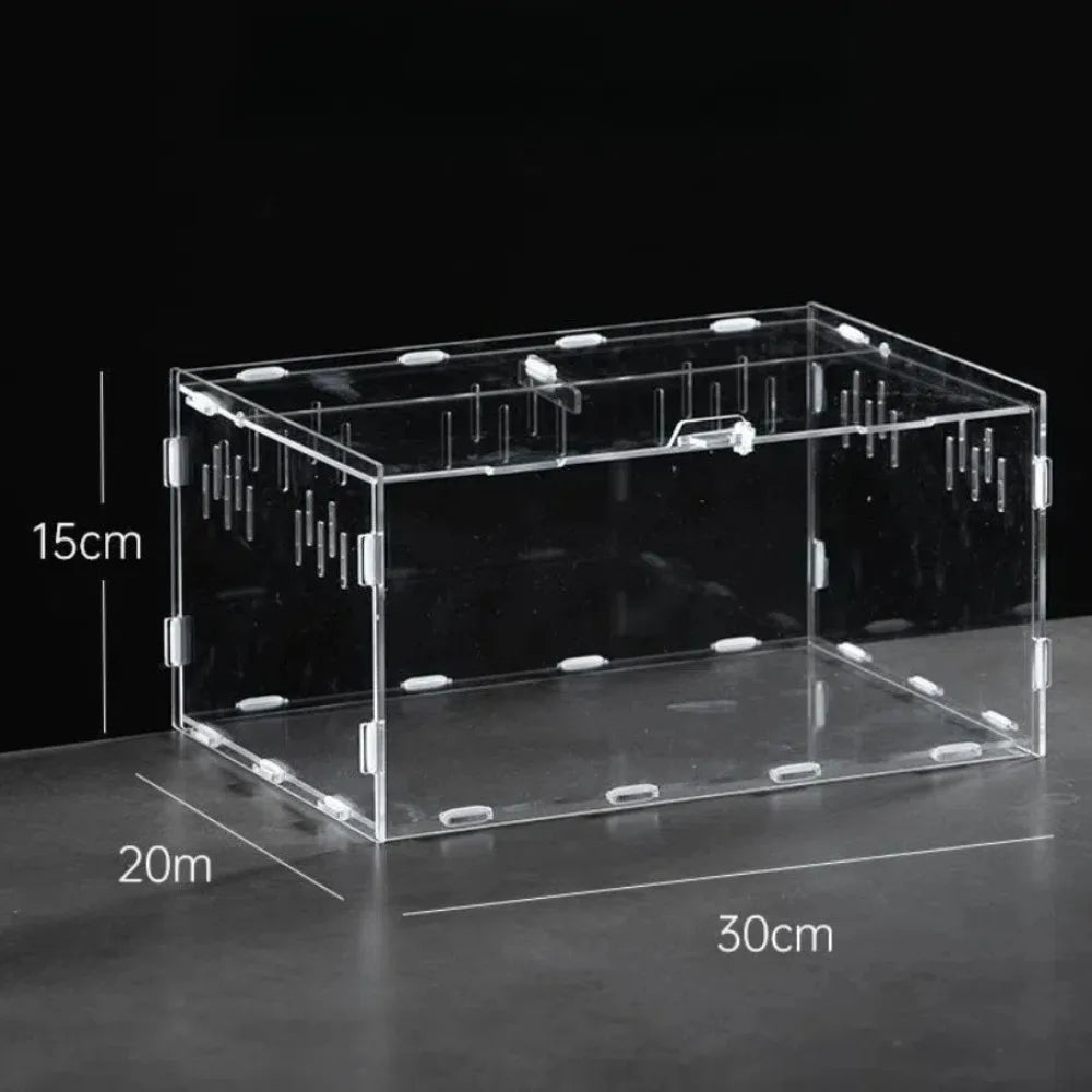 New Acrylic Reptile Habitat Anti-Escape Clear Spider Feeding Case Multiple Size Arboreal Small Pet Cage for Chameleon Clear