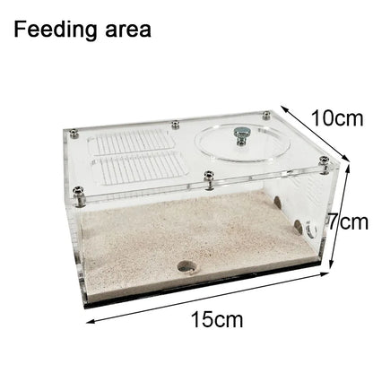 Expanded Anthill Ant House Acrylic Ant Kennel Insect Box Concrete Ant Farm Intelligent Temperature Control Ants Nest Spliceable