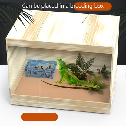Reptile Escape Proof Feeding Dish Powder Reptile live food feeding bowl Transparent durable for Lizards chameleons iguanas