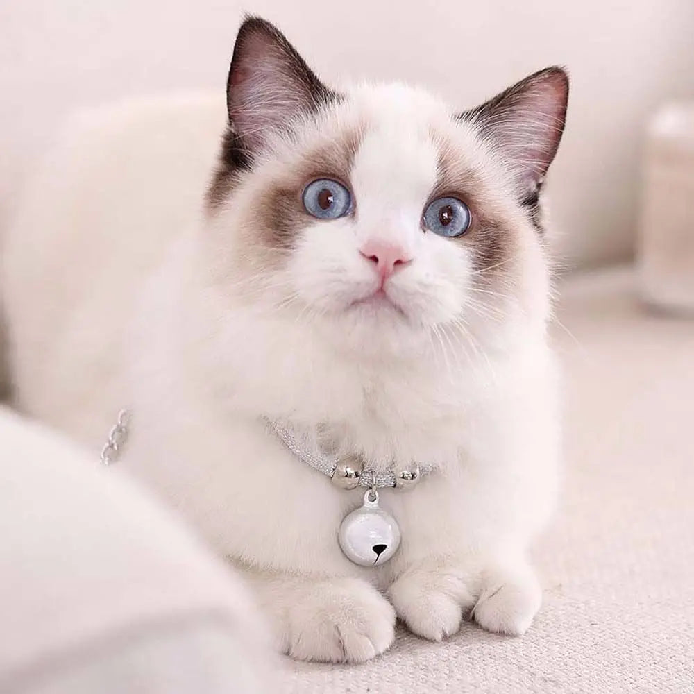 Fashion Easy Wear For Puppy Kitten Adjustable Cat Necklace Grooming Accessories Pet Collar Pet Supplies
