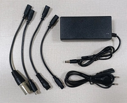 42V 54.6V 2A Battery Power Adapters For Lithium Battery Pack AC100-240V 36V 48V 2A Lithium Battery Charger 5 Plugs EU / US Plug