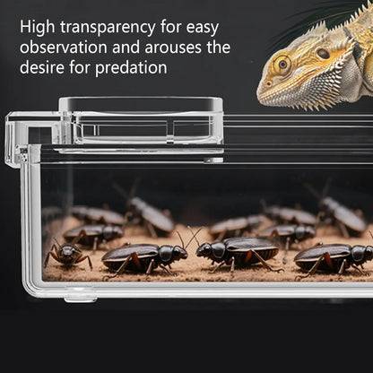 Reptile Lizards Geckos Feeding Bowls Prevent Tenebrio Molitor and Blaptica Dubia Anti Overturning Trough Feeder Transparent