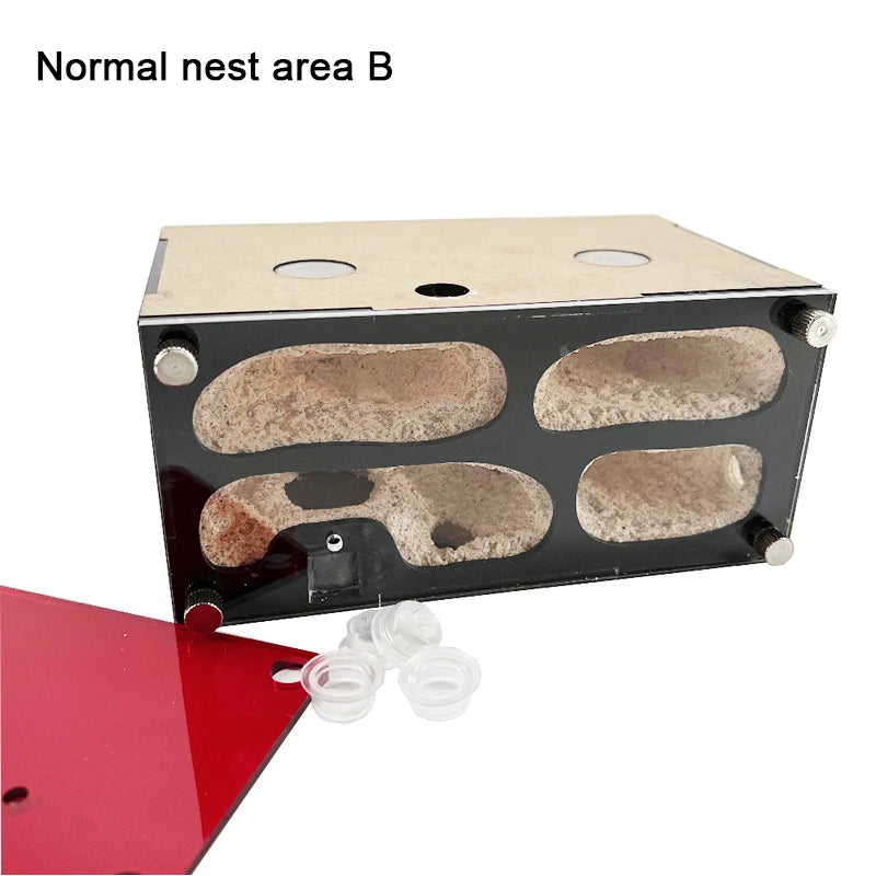 Expanded Anthill Ant House Acrylic Ant Kennel Insect Box Concrete Ant Farm Intelligent Temperature Control Ants Nest Spliceable
