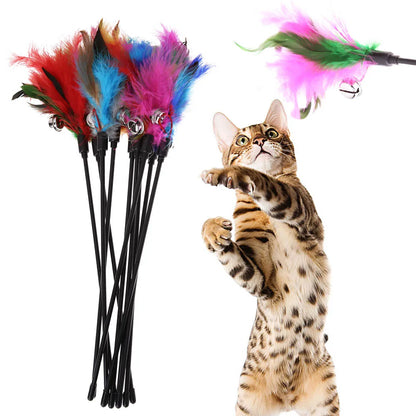 5pcs/set Interactive Funny Cat Stick Colorful Feather Cat Game Wand Exquisite Portable Creative Fashion Novelty Pet Cat Supplies