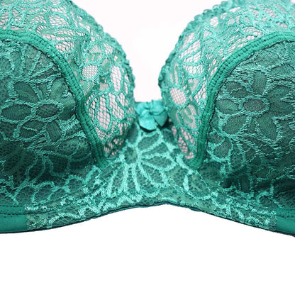 Plus Size Bras For Womens Lace Sexy Bra Perspective Underwire Female Lingerie BH Tops C D DD E F Cup