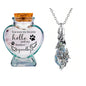 2 PCS Pet Mini Commemorative Urn, Sand Souvenir Sar, Heart-Shaped Glass Urn With Urn Necklace Set