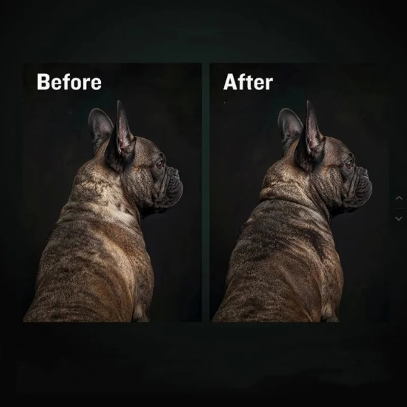 BULLY MAX HIGH PROTEIN & GROWTH WHOLESOME FORMULA FOR PUPPIES, Promotes Strong Muscle Development And Overall Health 120g