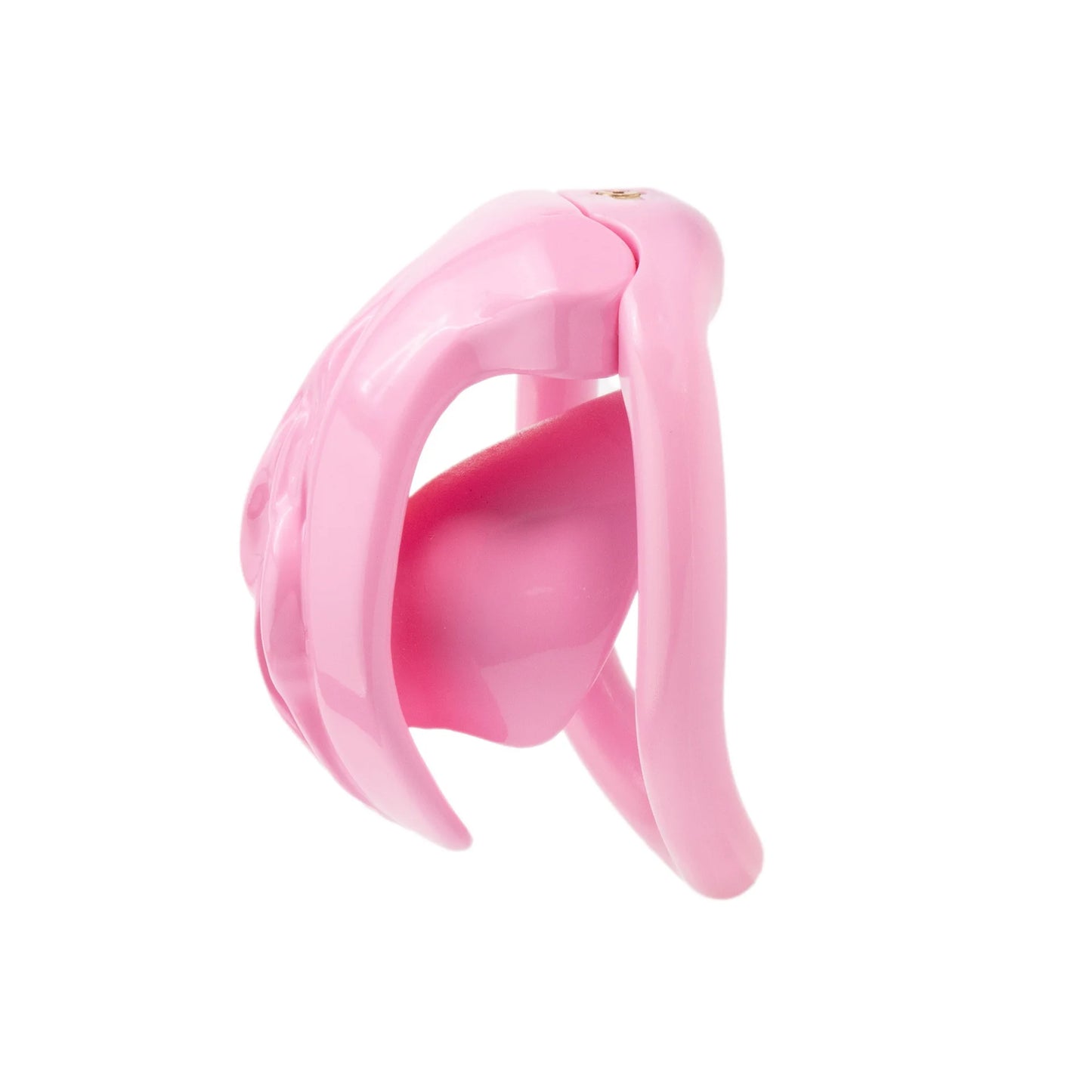 Realistic Vagina Chastity Cage Negative Cock Cage with 4 Size Rings Sissy Love Lock Mini BDSM Penis Abstinence Adults Sex Toys